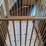 Playpen Image 2