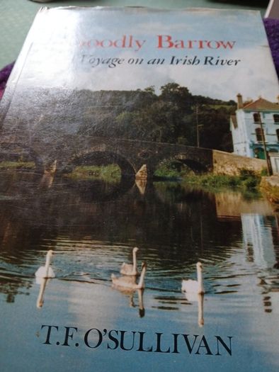 Irish interest