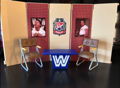 WWE Wrestling Figures (prices listed)
