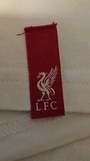Ladies Liverpool Tshirt