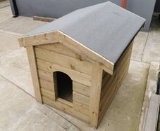 dog kennel