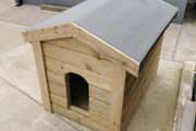 dog kennel
