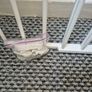 Baby gate Image 2