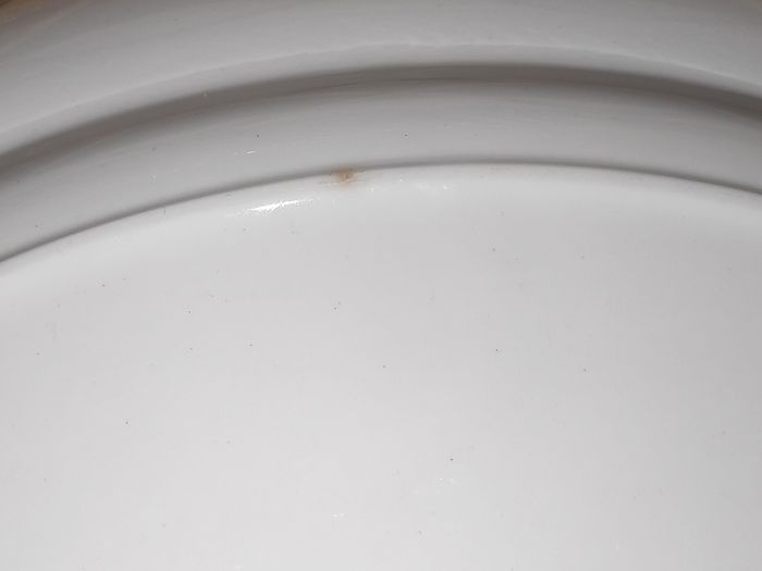 Arklow Pottery  Autumn Rose Large Serving/Meat Oval Platter, L 34 cm