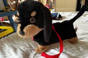 Animagic Sausage Dog