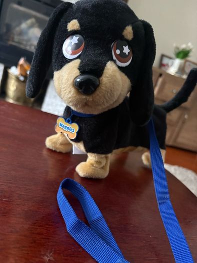 waggers dog