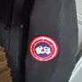 Canada Goose Image 3