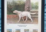 Guernsey International Year for Disabled People (Guide Dog) Limited Edition Lithographed Print
