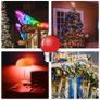 Brand New B22 LED Colored Bulbs G45 2W 14-Pack Image 5