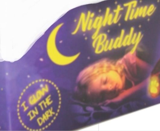 Night time Buddies (257)