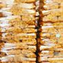 Kiln Dried Ash, Birch & Oak Logs | Wood Pellets Image 4