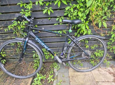 Giant Hybrid Bike