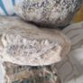 Rocks from the Holy Land Image 5
