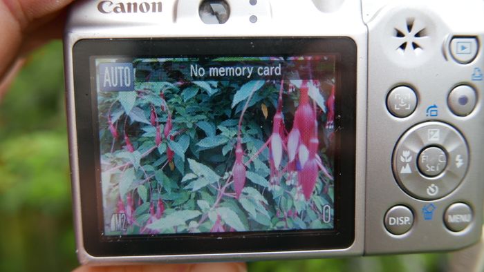 Canon PowerShot A1100 IS 12.1MP Digital Camera - Silver Tested Works well