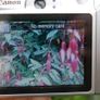 Canon PowerShot A1100 IS 12.1MP Digital Camera - Silver Tested Works well Image 6