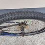 24" Apollo Mountain Bike Image 3
