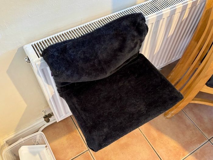cat radiator bed