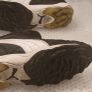 Puma King Allround Astro Boots Image 4