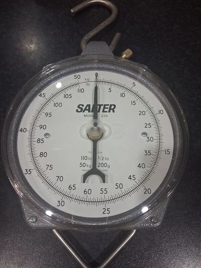 Salter Scales