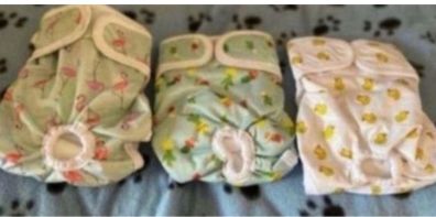 Reusable Dog Nappies Sanitary Pet Diapers