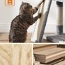 New Cat Play Area With Scratch Ramp - FREE Delivery Image 5