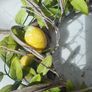 Lemon Door Wreath Image 7