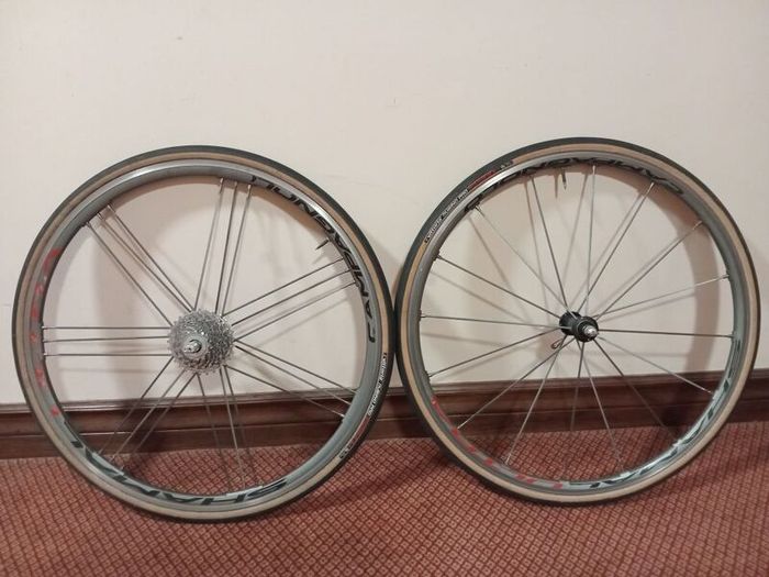 Campagnolo Shamal Ultra bike wheelset