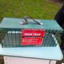 Trapping Image 3
