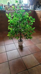 Artificial 4 Foot Fig Tree in Ceramic Pot with River Pebbles