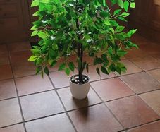 Artificial 4 Foot Fig Tree in Ceramic Pot with River Pebbles
