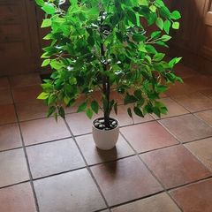 Artificial 4 Foot Fig Tree in Ceramic Pot with River Pebbles