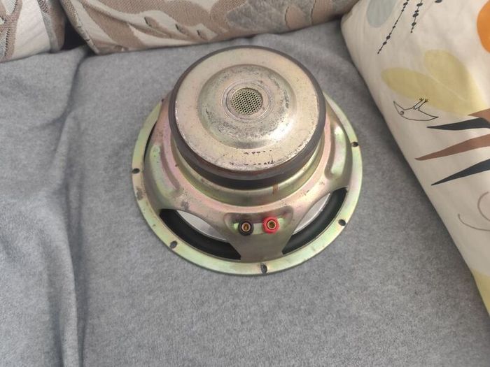 Subwoofer 10" driver