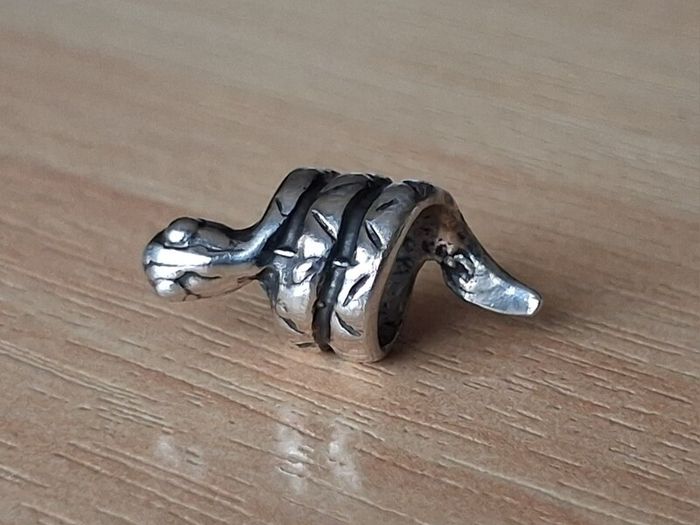 Silver snake charm