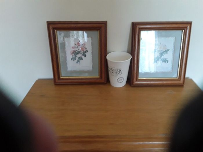 pictures