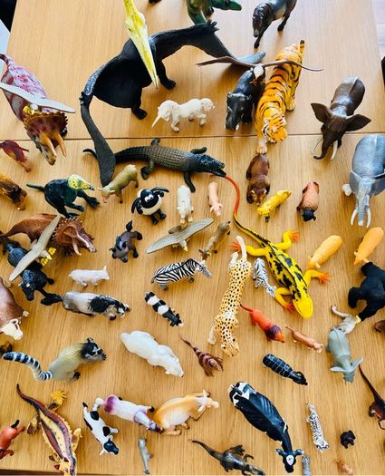 Animals