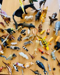 Animals