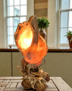 Unique seashell lamp