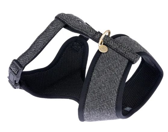 XS New Harness & Leash - Ebony
