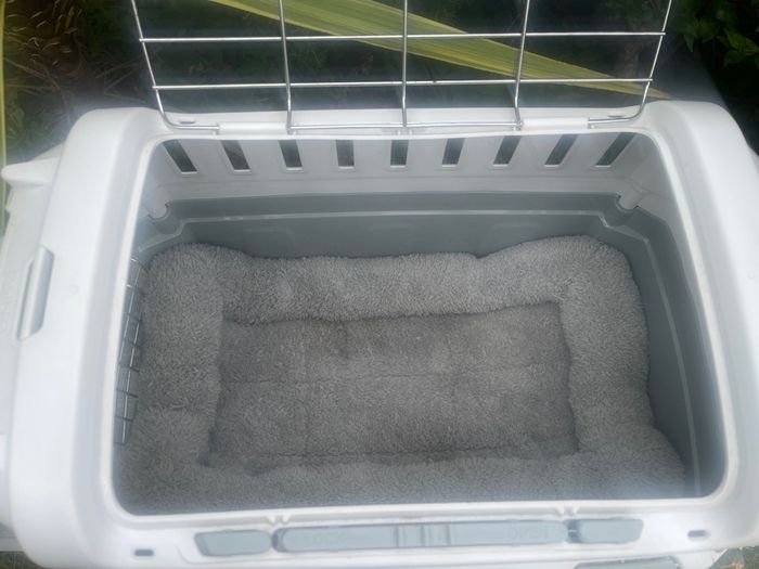 Small Pet Carrier