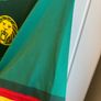 Cameroon World Cup 2022 Home Jersey Image 4