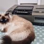 Panasonic nv8600 VCR '1978 Image 7
