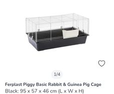 Guinea pig cage