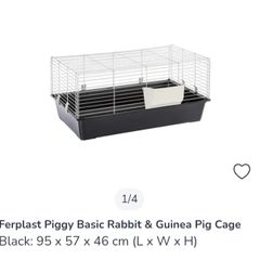 Guinea pig cage