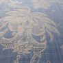 Fabric Image 4