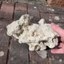 marine rocks Image 3