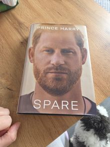 Prince Harry: SPARE