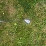 TaylorMade Milled Grind 5 (MG5) Wedge Mens Right Hand Steel Image 4