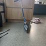 kids micro scooter Image 3