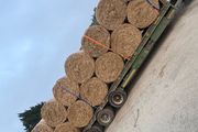 Hay for sale