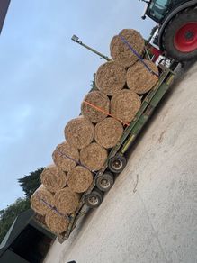 Hay for sale